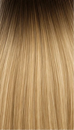 Vanilla Shadow — hair color R40-613